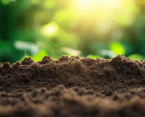 Topsoil Suppliers